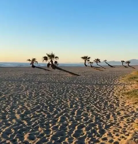 Front De * Le Barcarès